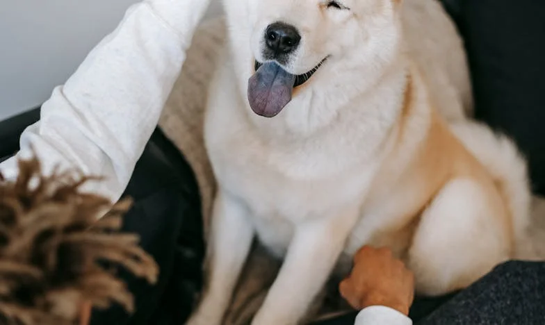 Quand ma voisine a brisé mon silence : La vérité que je refusais d’entendre