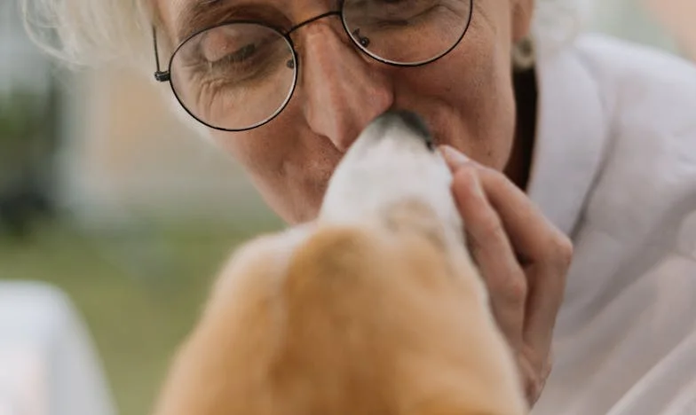 Quarante ans d’amour, et tout s’effondre : Mon divorce à 64 ans