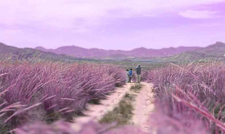 Sous le même toit, des silences brisés