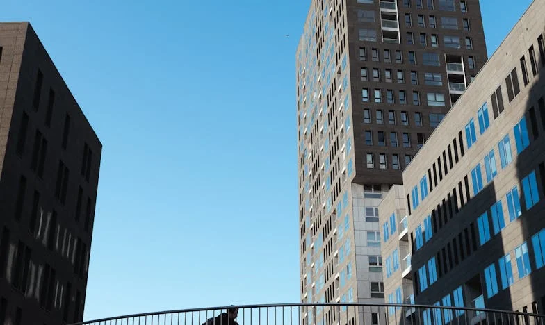 « J’aime mon grand-père, mais ma grand-mère n’est pas gentille » : Confession d’une petite-fille française