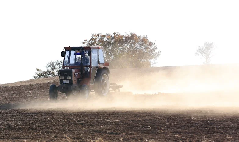 Le Toast qui a Brisé Mon Mariage : Une Nuit Inoubliable
