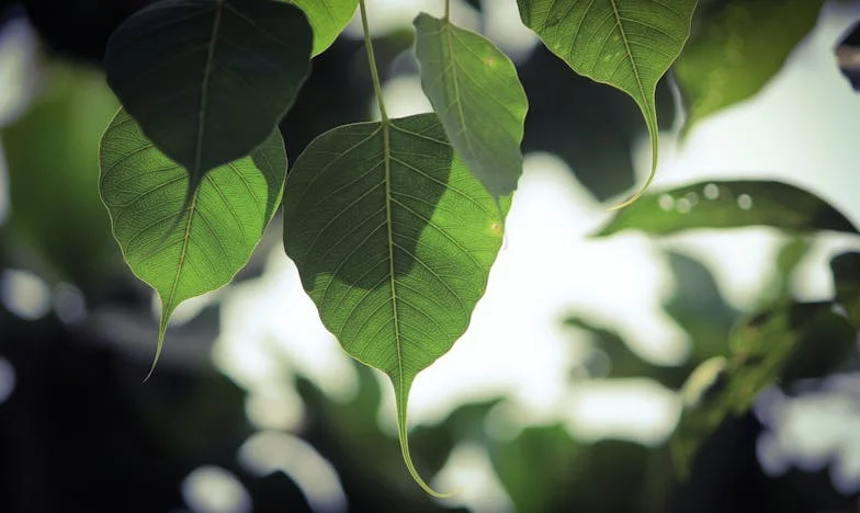 A los 62 años, mi madre se casó con un empresario rico y desapareció de nuestras vidas