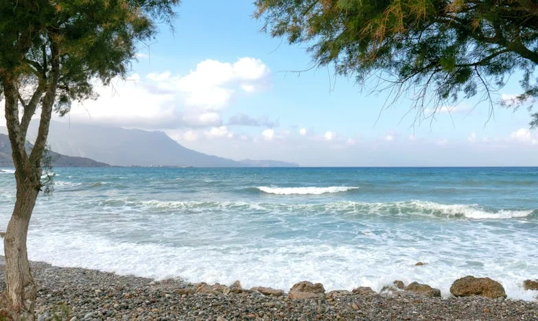 Cuando la casa se llena: el regreso de mi hijo y el peso de la herencia