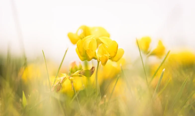 Cuando la familia pesa más que el amor: El precio de complacer a todos