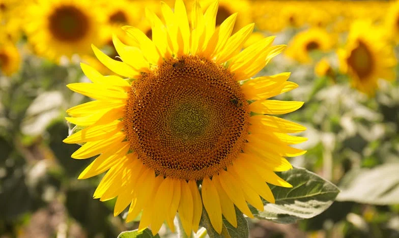 Cuando la Vida Cambia de Golpe: El Día que Samuel Llegó a Casa