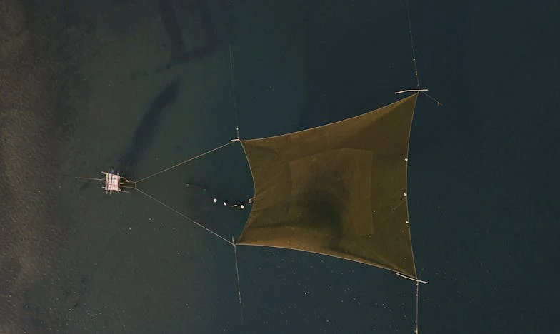 Cuando Mamá Llama a la Puerta: Un Nuevo Comienzo en Madrid