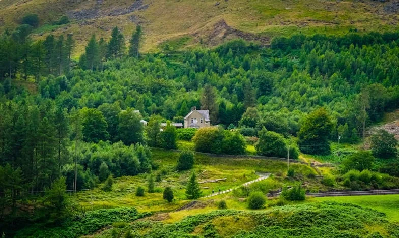Cuando mi hijo me cerró la puerta: el precio de amar demasiado