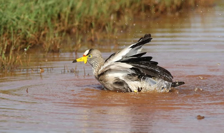 Cuando mi hijo me pidió hipotecar la casa: una historia de fe y familia en Madrid