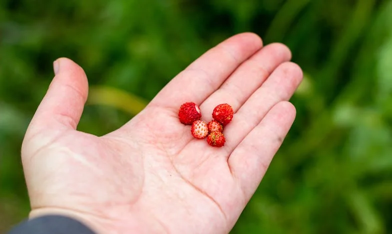 Dividir la nevera: una guerra fría en casa de los García