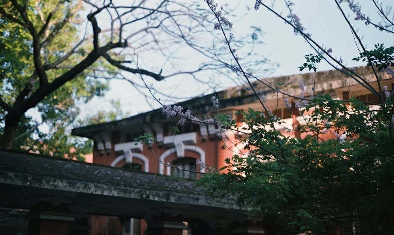 El día que dejé a mi madre en la residencia: ¿Podré perdonarme algún día?