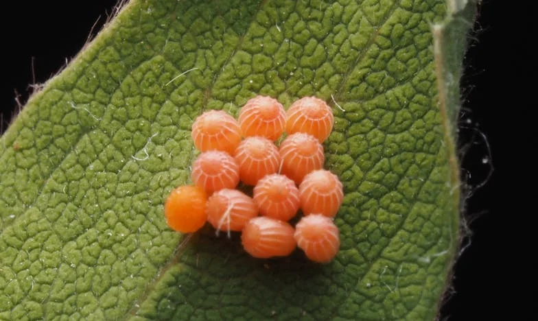 El día que mi hijo dejó de ir al instituto y yo le obligué a fregar platos