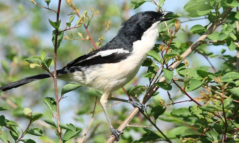 El día que mi madre cayó y todo cambió