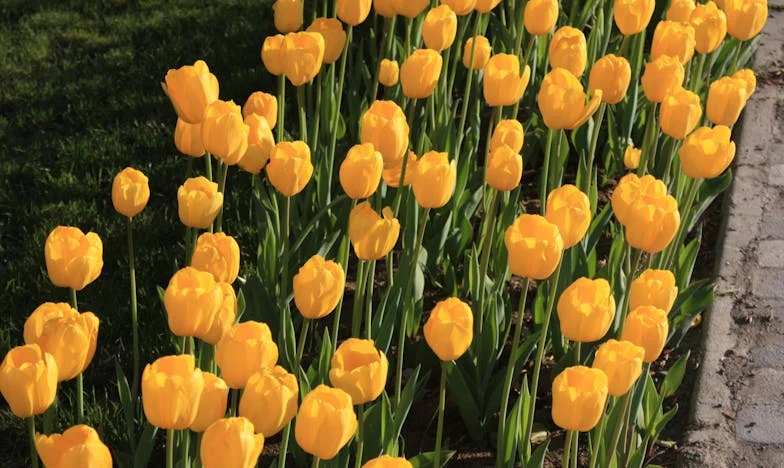 El día que mi suegra cruzó la línea: una historia de familia y límites