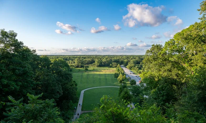 El día que todo cambió: Cuando Bruno llegó a mi vida