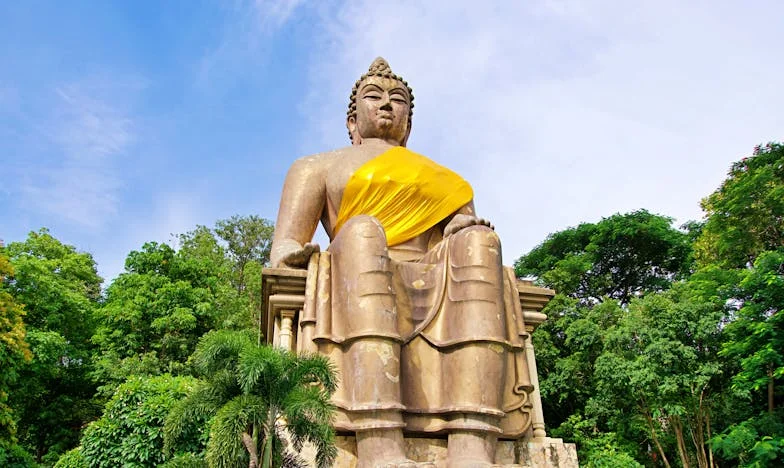 El eco de mi entrega: La historia de una mujer que lo dio todo y fue traicionada