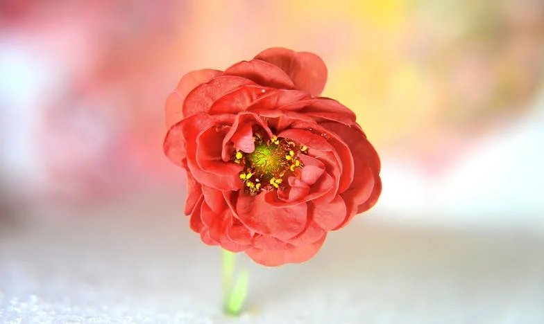 El peso de la puerta entreabierta