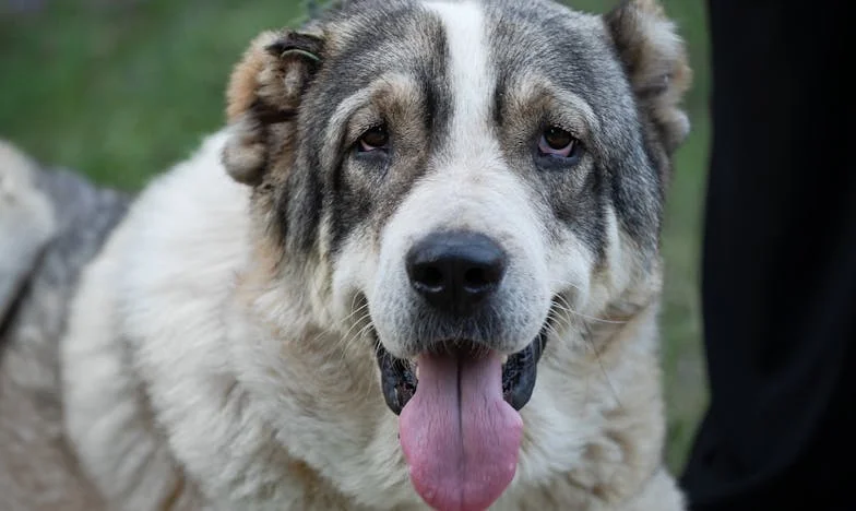 El piso que heredé de un padre ausente: ¿A quién le pertenece mi vida?