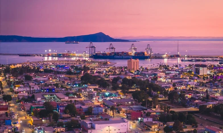 El precio de una firma: cuando la familia se convierte en campo de batalla