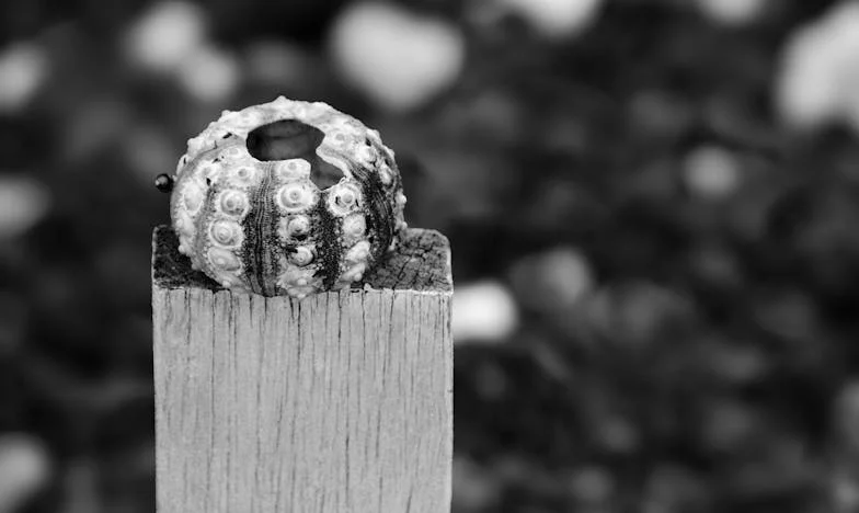 El secreto de la familia Martín: Entre el amor y la traición