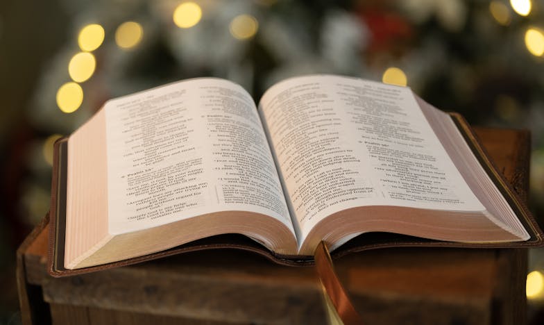 El Secreto de Ricardo: Entre el Amor y la Lealtad