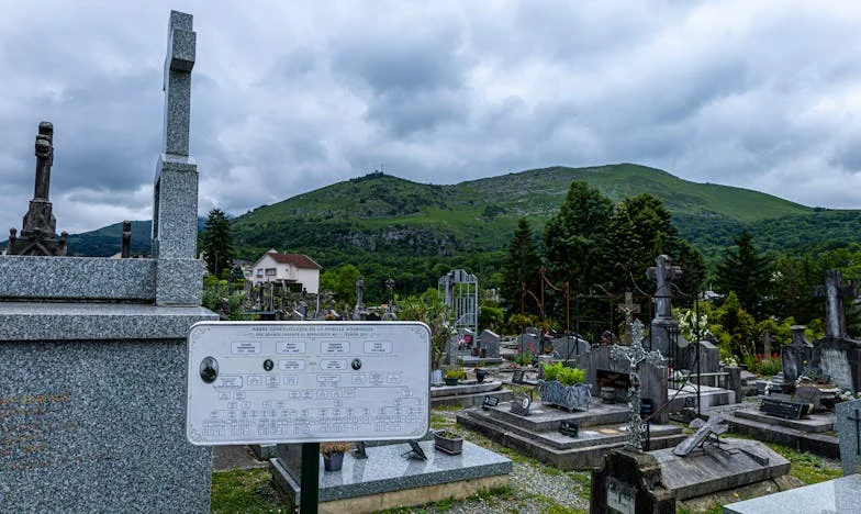 El Silencio de las Campanas: Cuando el Amor No Basta para la Familia