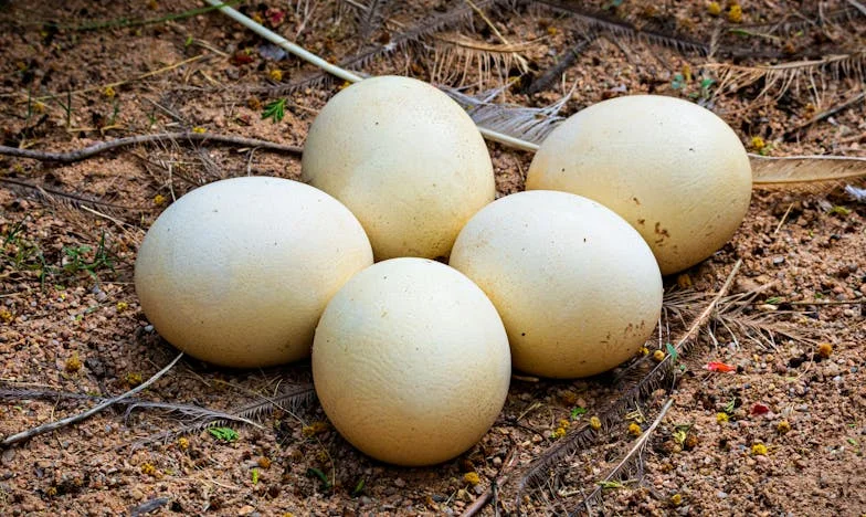 El silencio de Lucía: Cuando la familia se rompe en silencio