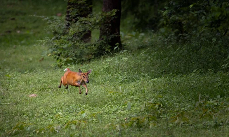 El silencio de mi hermano: Cuando el amor divide a una familia