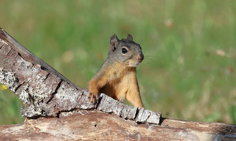 El silencio de mi hijo: una madre frente a la deuda