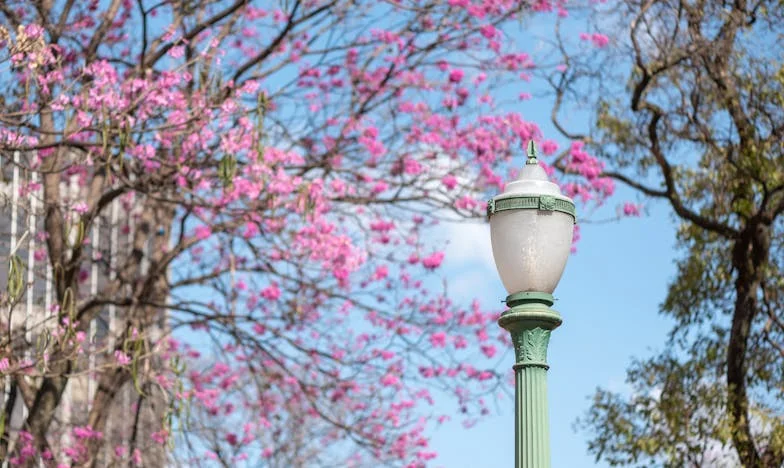 Entre dos fuegos: Cuando mi madre y mi suegra no me dejan respirar