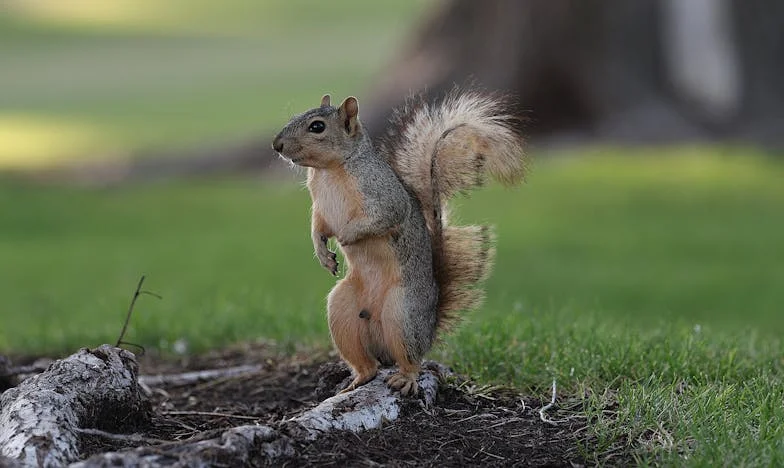 Entre el amor de madre y la dignidad: Mi verdad tras echar a mi hijo
