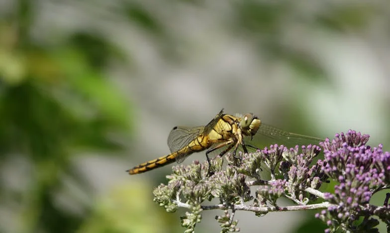 Entre el amor y la soledad: Mi vida entre dos hijos