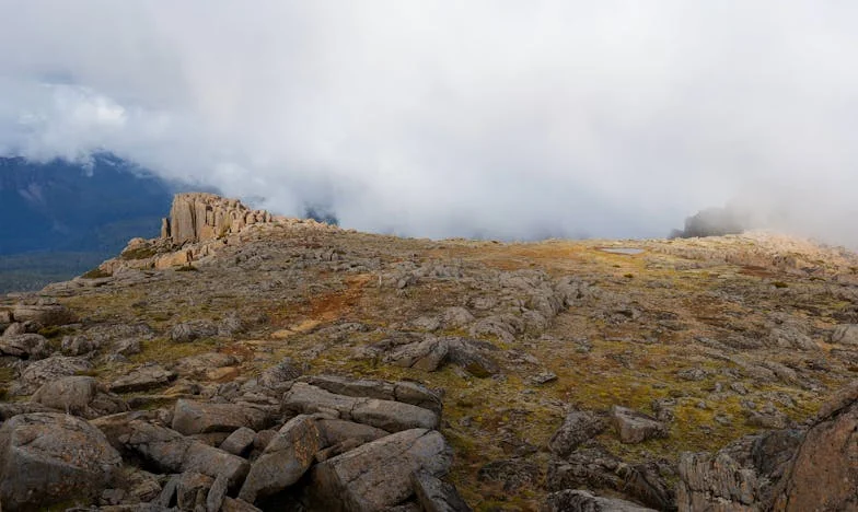 Entre el cariño y el orgullo: la batalla silenciosa en mi familia