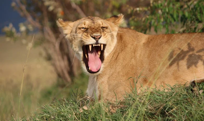 Entre las paredes de la casa de los García: Mi vida con los suegros