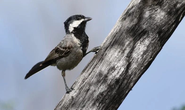 Entre Muebles y Recuerdos: El Peso de lo Heredado