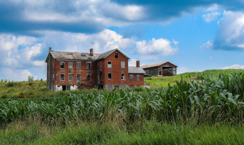 Entre Sombras y Silencios: Mi Lugar en una Familia Recompuesta