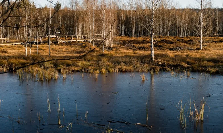 La casa de la discordia: Cuando la familia se convierte en extraños