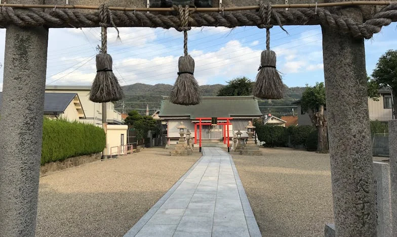 La casa de mi nieto no se toca: una historia de amor, pérdida y pertenencia