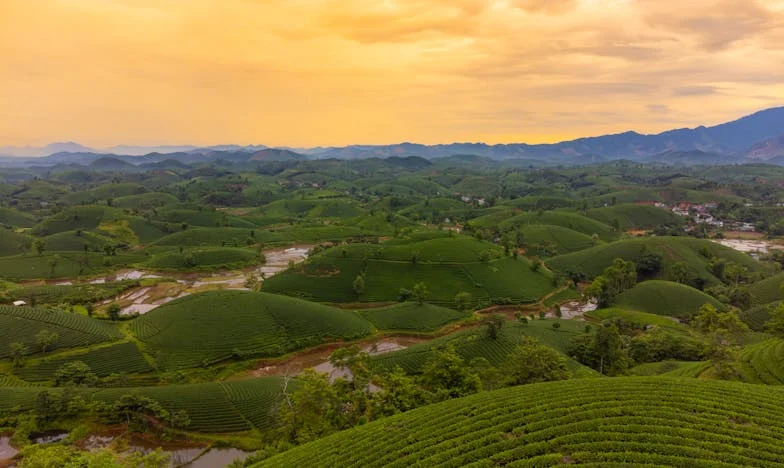 La esposa de mi hermano y el secreto que destrozó mi familia