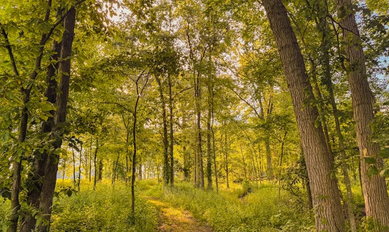 La mesa vacía: una noche cualquiera en Vallecas