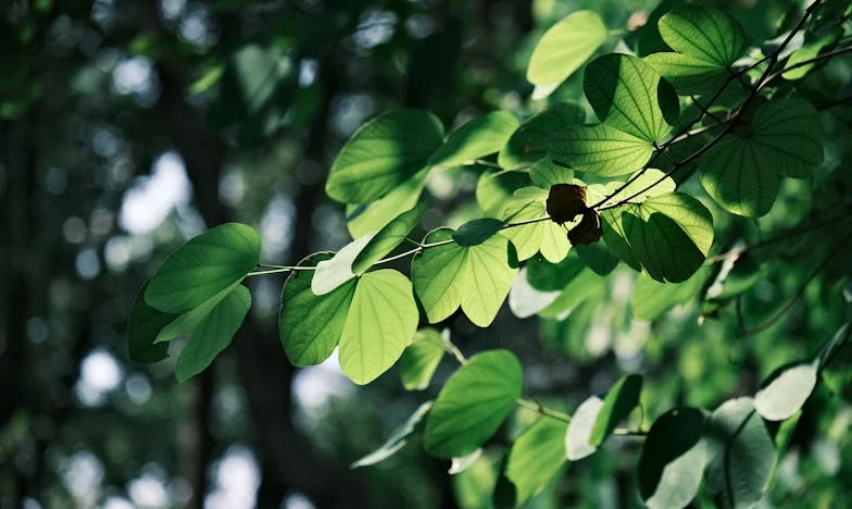 La semana que lo cambió todo: El precio de proteger a mi hijo