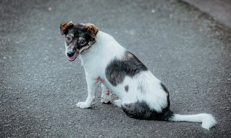 La verdad tras la sonrisa de Carmen: una madre al límite