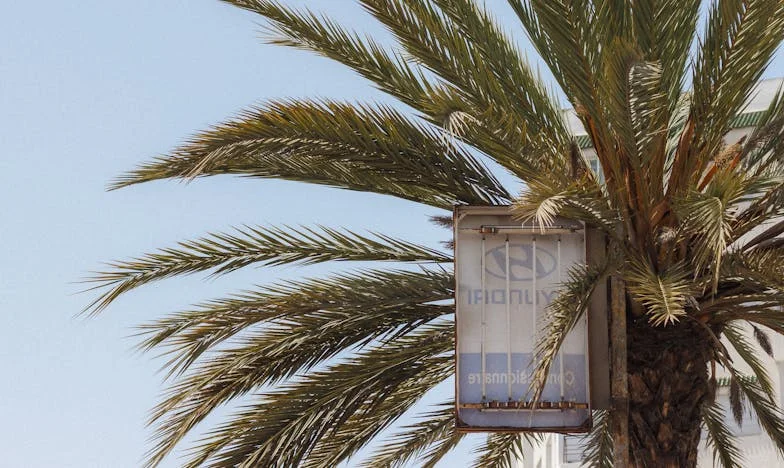 Lo que siembras, recoges: El día en que mi suegra recibió su merecido