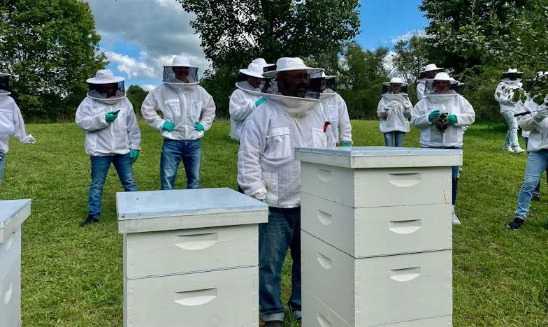 Me duele tanto: Mis padres solo me han utilizado