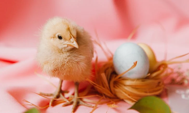 Mi familia, los eternos aprovechados: la lección que nunca esperaron