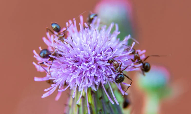 Nunca pensé que mi hijo se alejaría tanto: la historia de una madre española