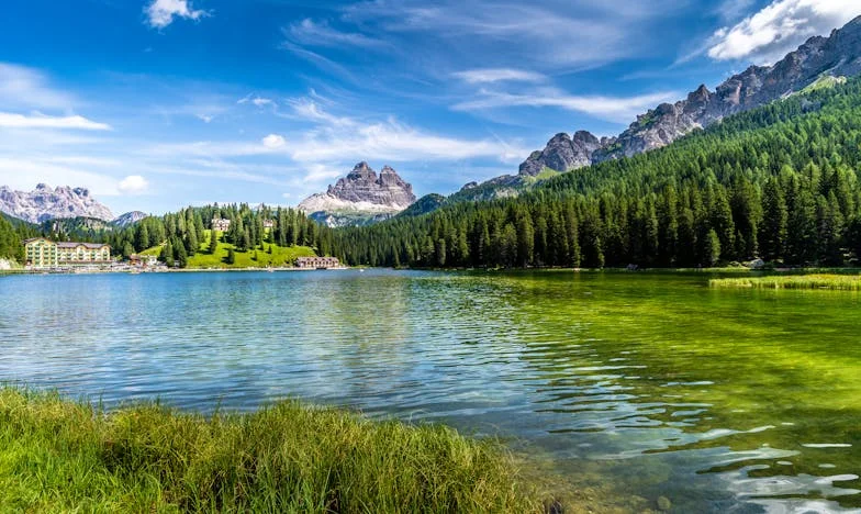 Nunca volverás a ver a tus nietos: el día en que mi familia se rompió
