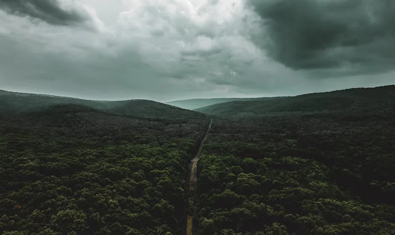 ¿Por qué la abuela ya no viene? El silencio que duele en casa de los Martín
