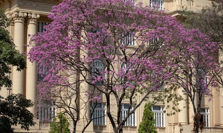 Sin cuna, sin pañales: El regreso a casa que nunca imaginé