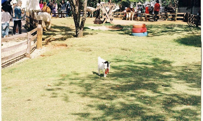 A los 58, el corazón late de nuevo: Entre el amor y la culpa