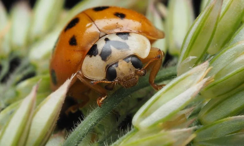 Al otro lado de la pared: La frontera que no debemos cruzar